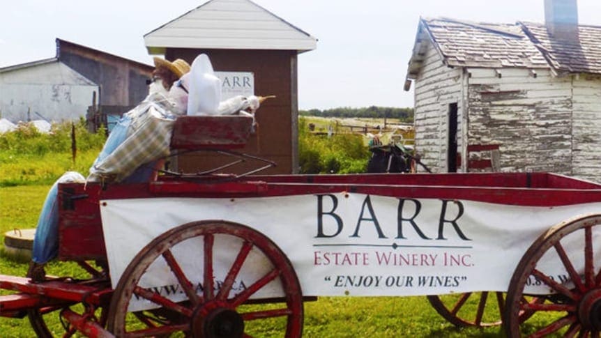 Featured image for “Barr Estate Winery Tour”